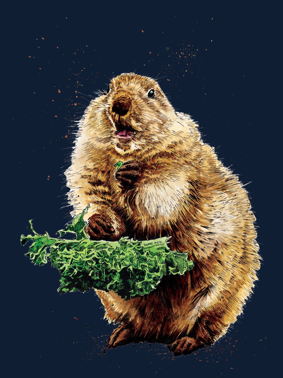Prairie Dog na půlnoční modři, 2020 od Mike Davis