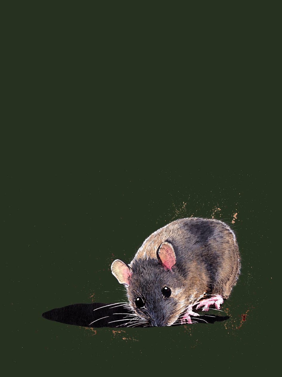 The Woodmouse on Forest Green, 2020 od Mike Davis