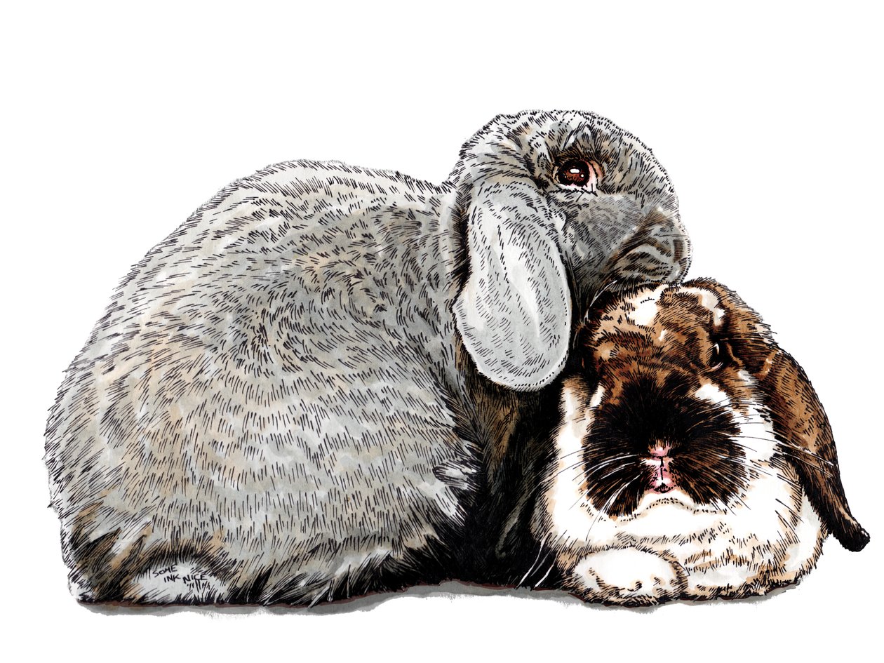 Thinking of Bunnies on White, 2020 od Mike Davis