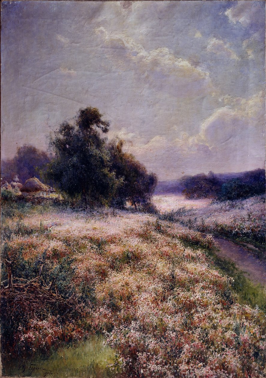 Kvetoucí louka, 1906 od Mikhail Andreyevich Berkos