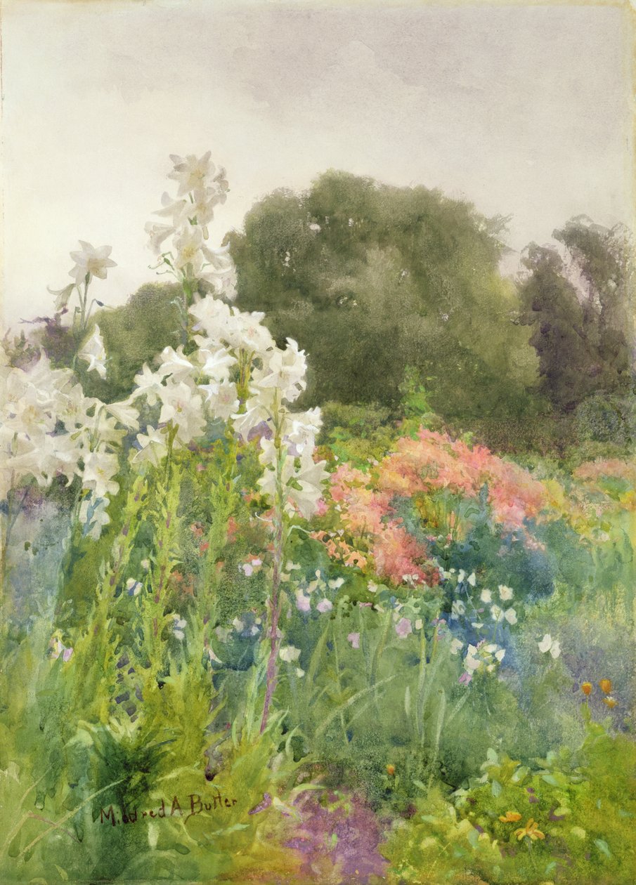 Madonna Lilies (wc na papíře) od Mildred Anne Butler