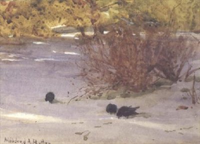 Stíny na sněhu (akvarel na papíře) od Mildred Anne Butler
