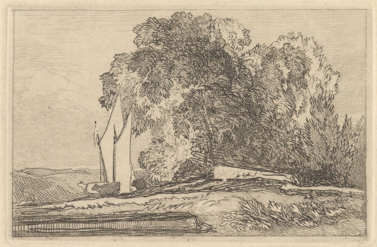 Studie stromů na březích Yare od Miles Edmund Cotman