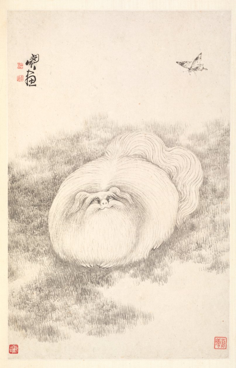 Kočka a motýl, 1788. od Min Zhen