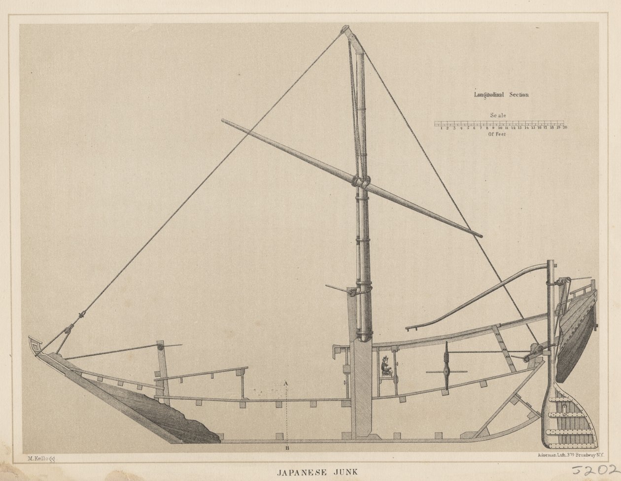Japonská veteš, 1855 od Miner Kilbourne Kellogg