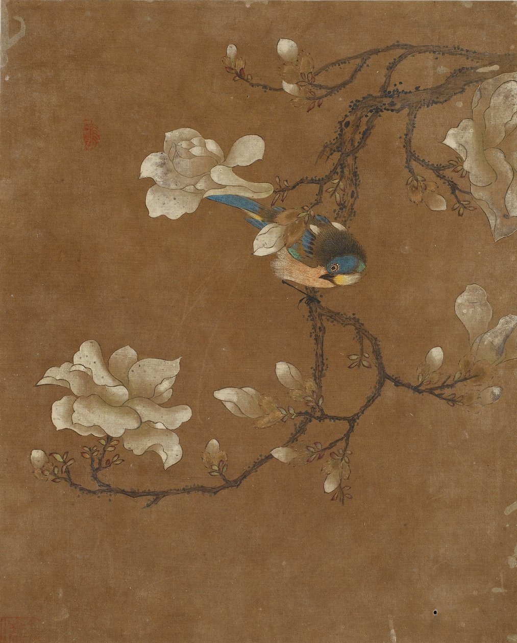 Deset obrázků ptáků a květin (barva na hedvábí) od Ming Dynasty Chinese School