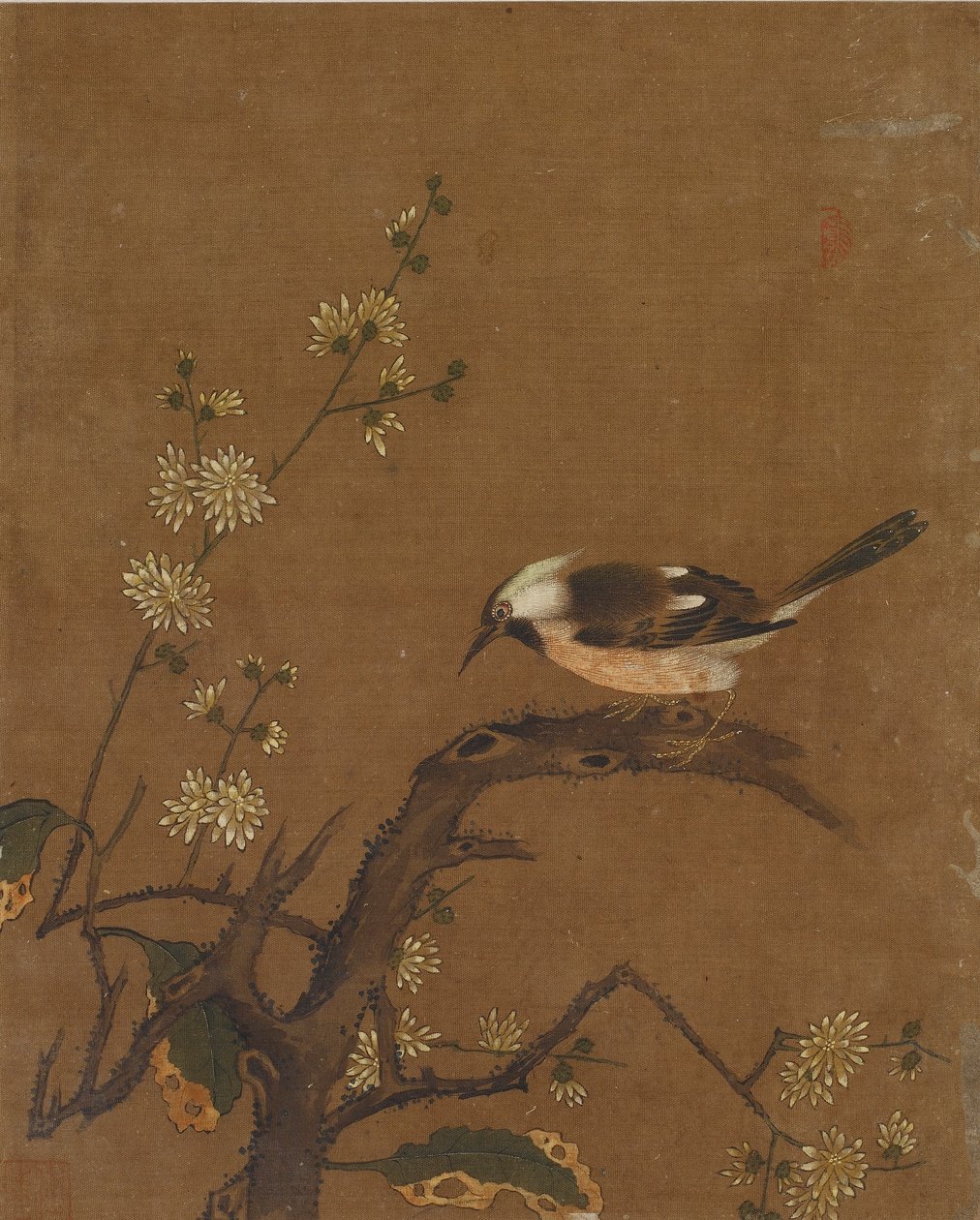 Deset obrázků ptáků a květin (barva na hedvábí) od Ming Dynasty Chinese School