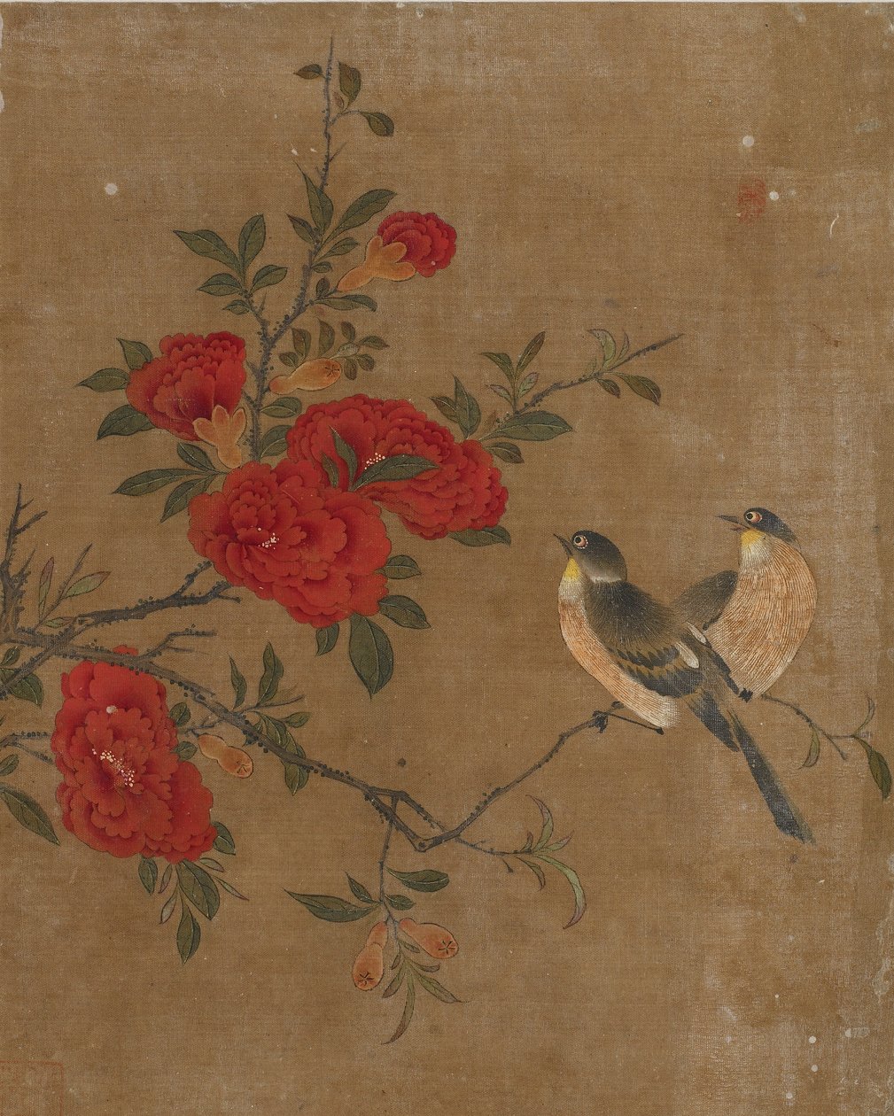 Deset obrázků ptáků a květin (barva na hedvábí) od Ming Dynasty Chinese School