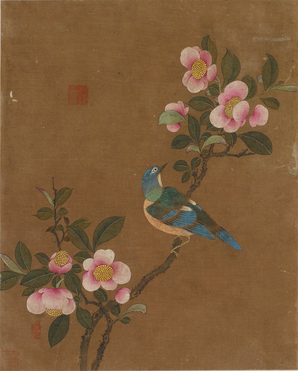 Deset obrázků ptáků a květin (barva na hedvábí) od Ming Dynasty Chinese School