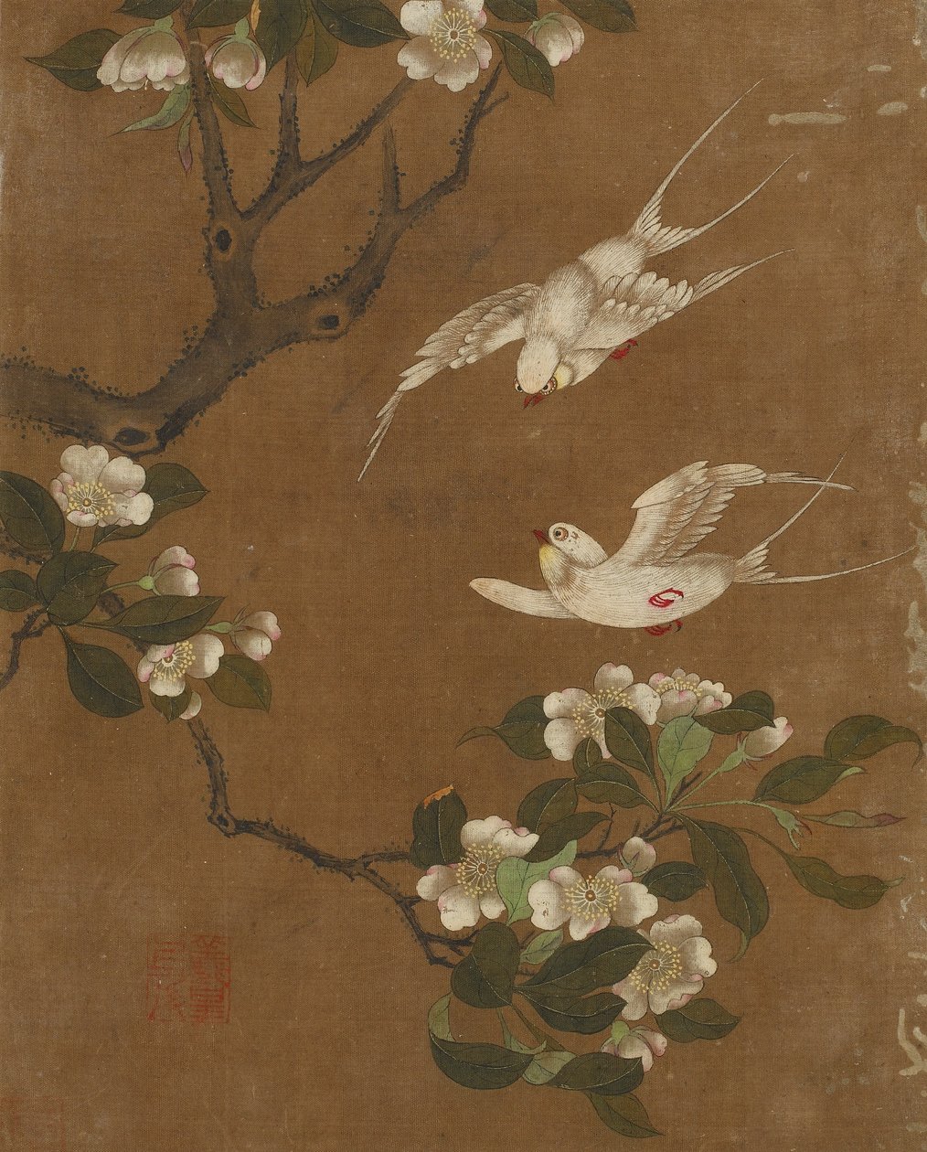 Deset obrázků ptáků a květin (barva na hedvábí) od Ming Dynasty Chinese School