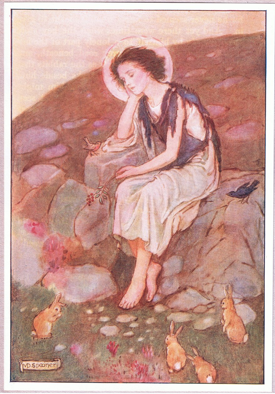 Byla to ta malá šedá cesta, pod kterou upíral oči (barva litho) od Minnie Didbin Spooner