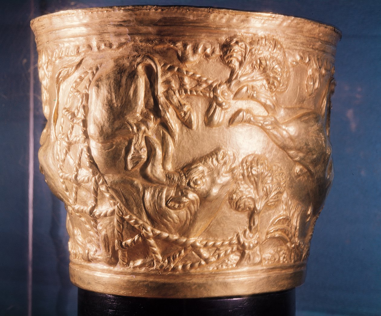 Pohár znázorňující zachycení divokého býka, nalezený v královské hrobce Vaphio, Sparta, pozdní Minoan I, cca 1500 př. n. l. (zlato) (viz také 148823) od Minoan