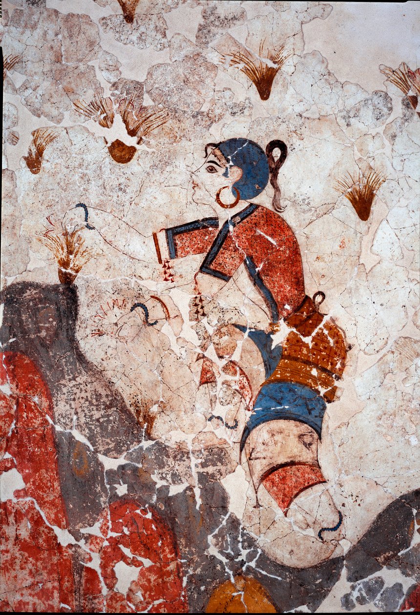 Minojská civilizace: ženy sbírají šafrán. Detail fresky z lustrální pánve Xeste 3 v Akrotiri (Thera), Santorini. Ztlumit. 244x266 cm 16. století př. n. l. Santorini, sbírka fresek Akrotiri a Thera - minojská civilizace: ženy sbírají saff od Minoan