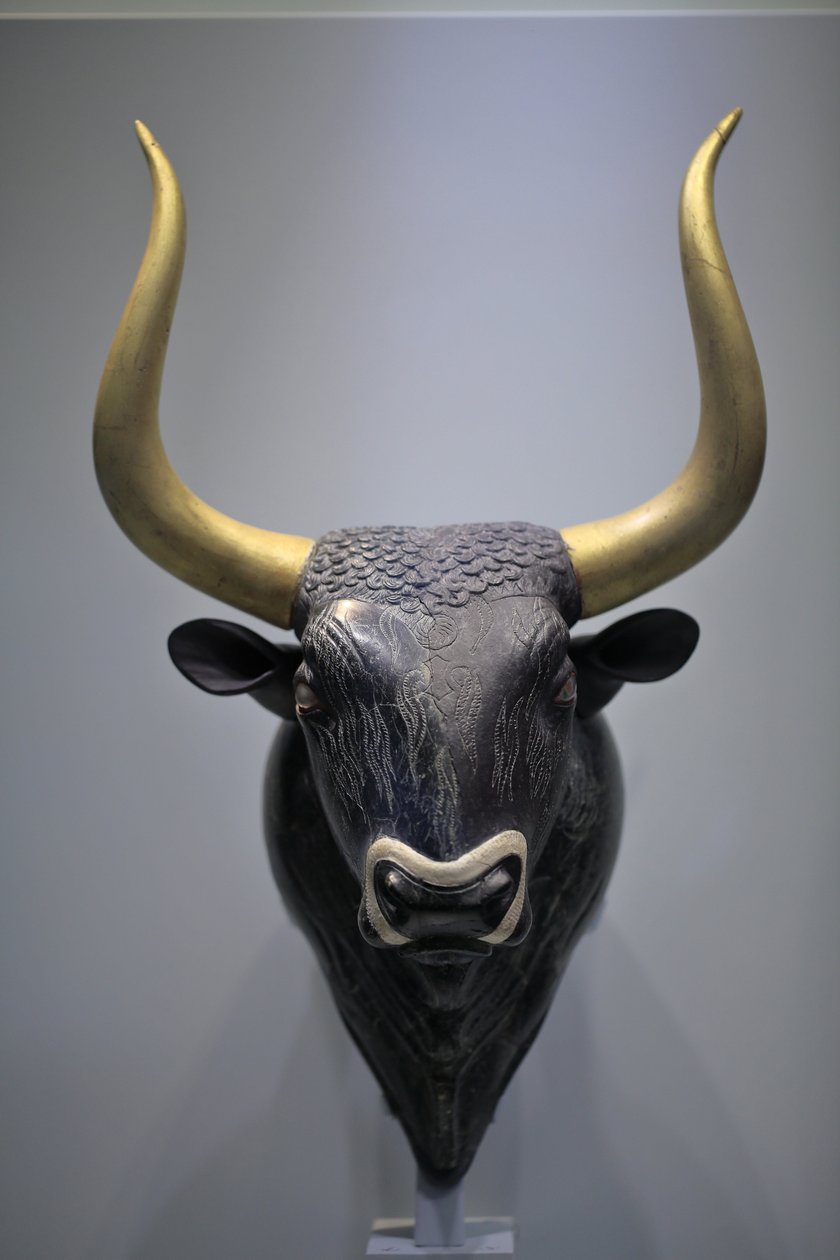 Minojské umění. Rhyton s býčí hlavou. Tento rhyton byl nalezen v malém paláci Knossos. Je to charakteristický příklad minojské kamenné řezby raného neopalaciálního období. Jedná se o libační vázu, která byla přes díru naplněna příslušnou tekutinou od Minoan