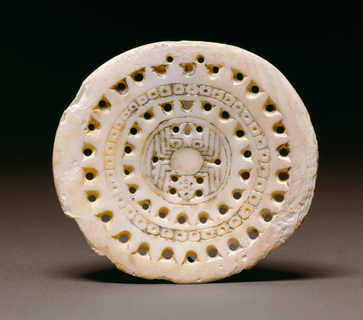 Gorget s pavoučím motivem, Dallas, 1300-1500 (mořská mušle) od Mississippian culture