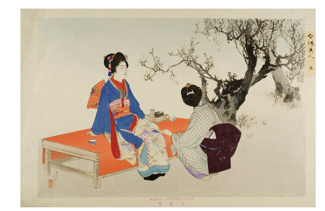 č. 2. Pohled na Plum Blossoms ze série Moderní krásy, cca 1897-1899 (dřevěný blok na papíře) od Mizuno Toshikata