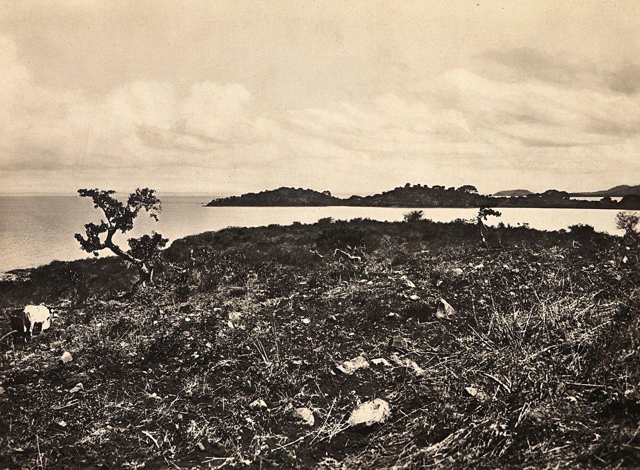 „Budování říše“ ve fašistickém věku: jezero Tana. Etiopie, 09.05.1936 (čb foto) od Modestino Baldinetti