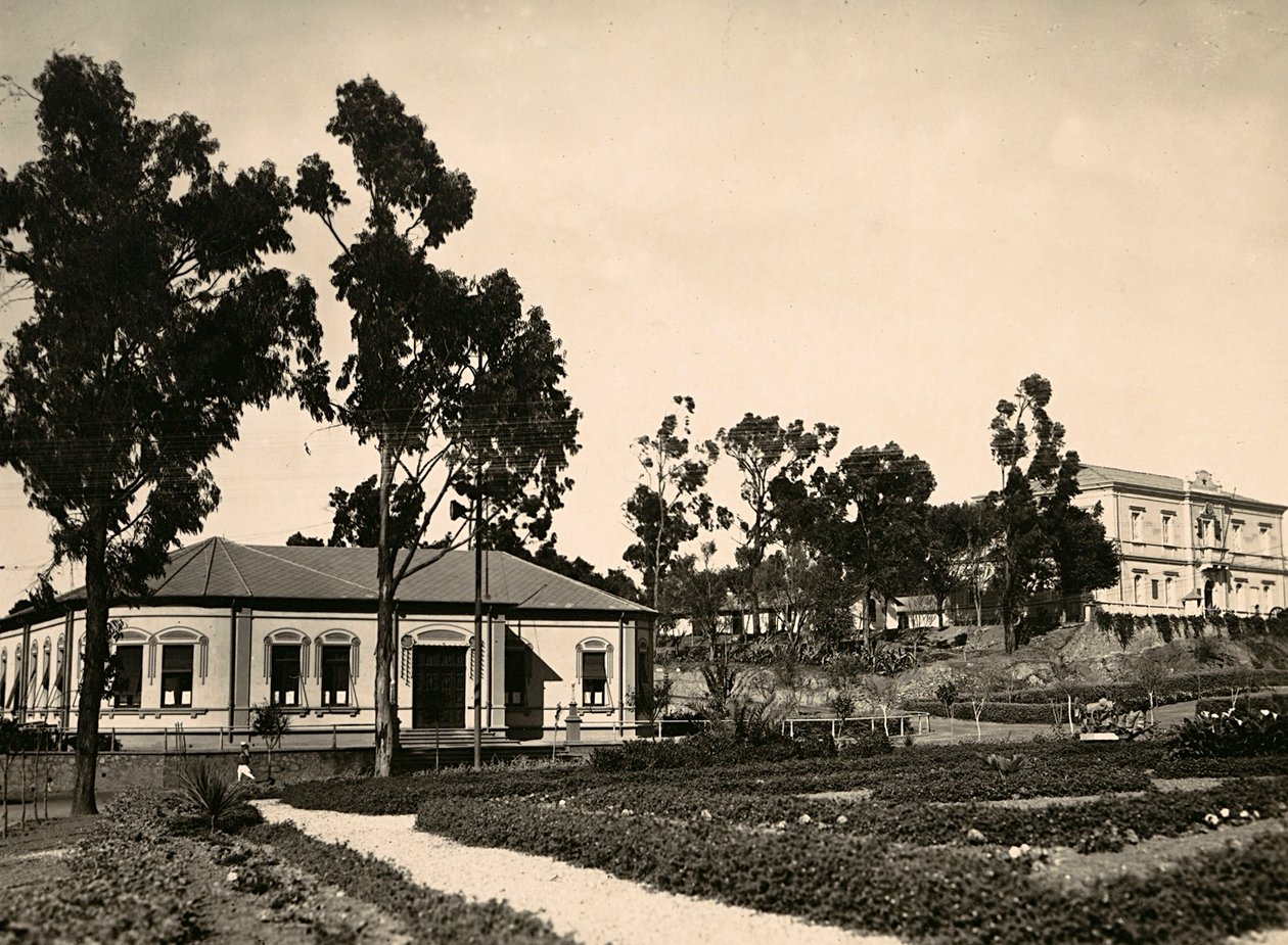 „Budování říše“ ve fašistickém věku: kruh úředníků v Asmaře, 9.5.1936 (černobílá fotografie) od Modestino Baldinetti
