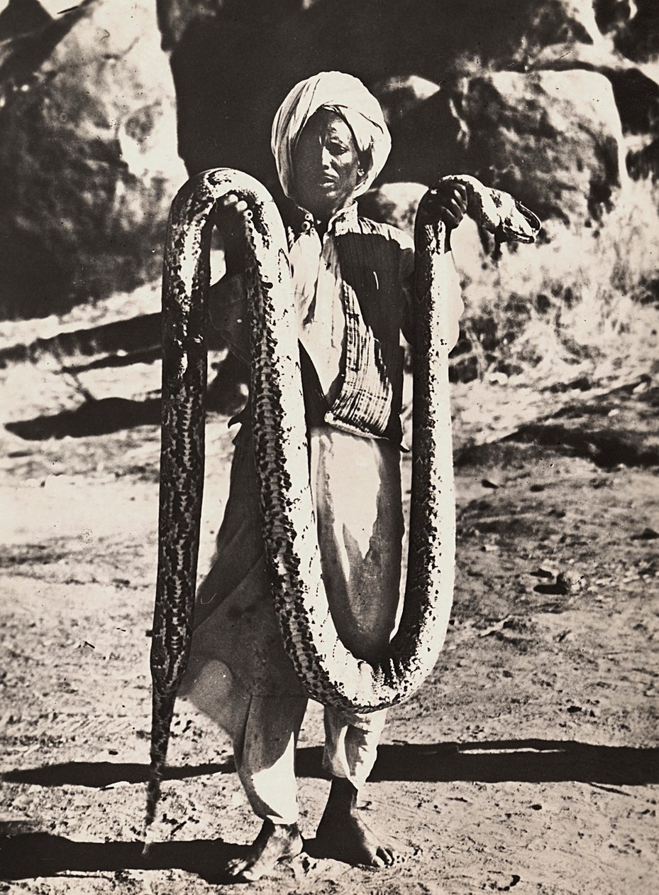 „Budování říše“ ve fašistickém věku: domorodec s krajtou, 09.05.1936 (černobílá fotografie) od Modestino Baldinetti