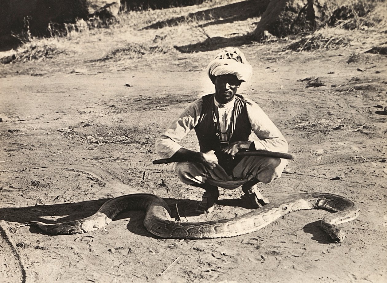 „Budování říše“ ve fašistickém věku: domorodec s krajtou, 09.05.1936 (černobílá fotografie) od Modestino Baldinetti