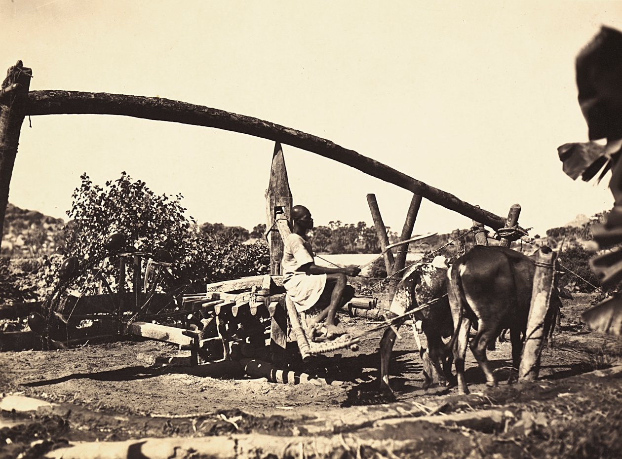 „Budování říše“ ve fašistickém věku: domorodá Noria, 9.5.1936 (černobílá fotografie) od Modestino Baldinetti