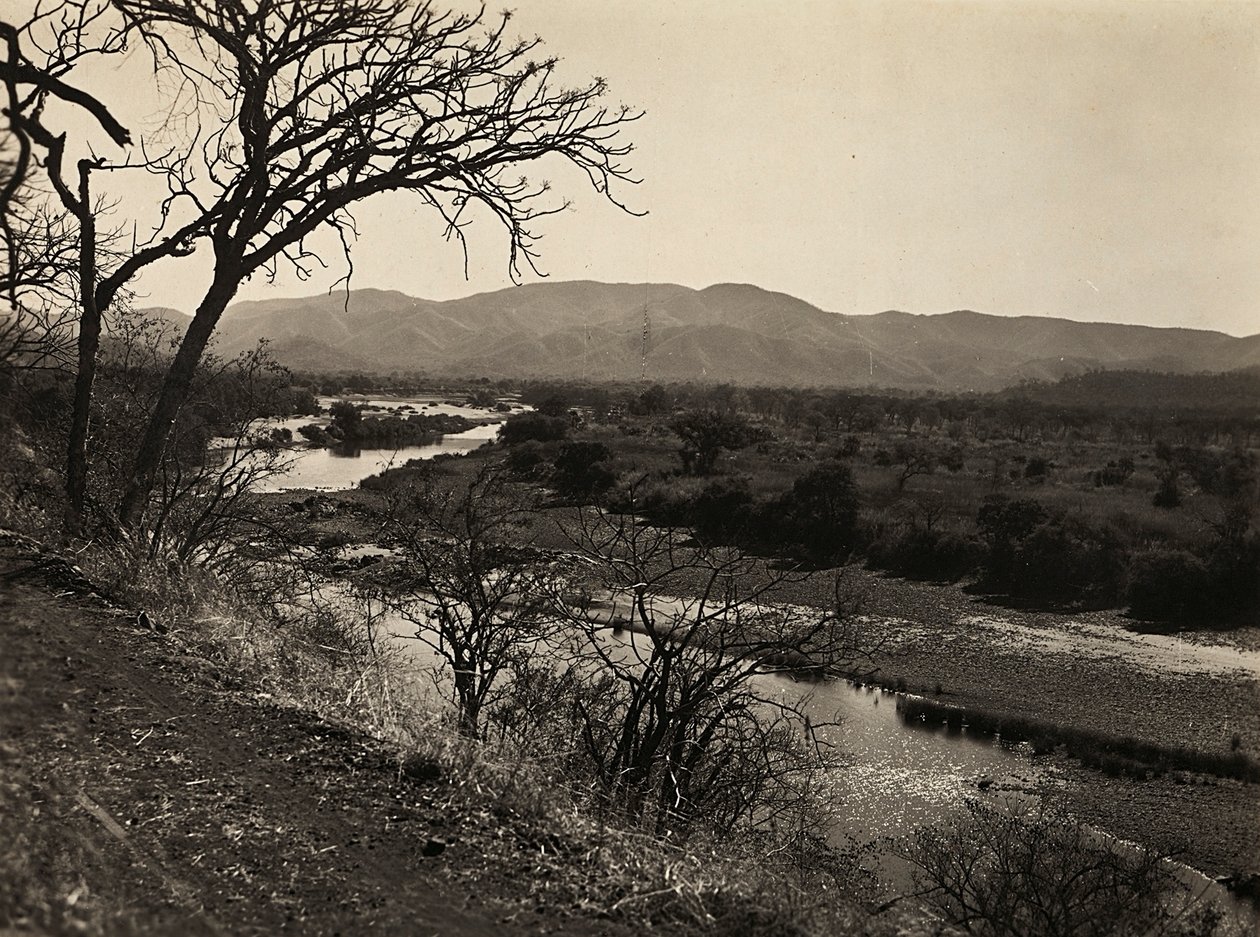 „Budování říše“ ve fašistickém věku: Setit v Biaghele, 9.5.1936 (černobílá fotografie) od Modestino Baldinetti