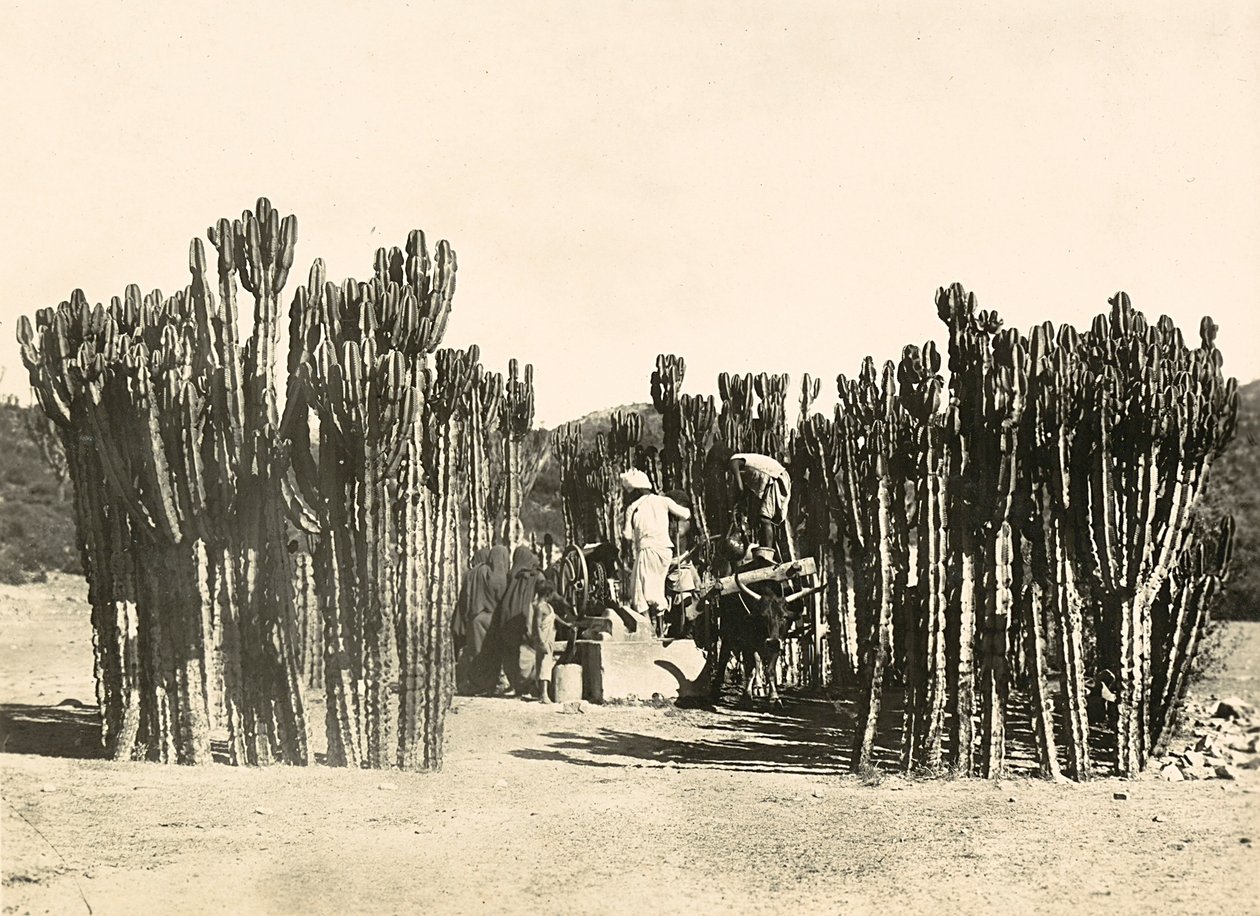 „Budování říše“ ve fašistickém věku: studna v Nacfa, 09.05.1936 (černobílá fotografie) od Modestino Baldinetti
