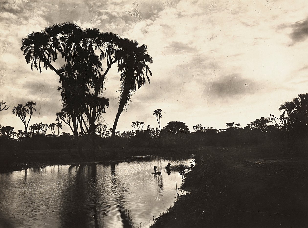 „Budování říše“ ve fašistickém věku: západní nížina, 09.05.1936 (čb foto) od Modestino Baldinetti