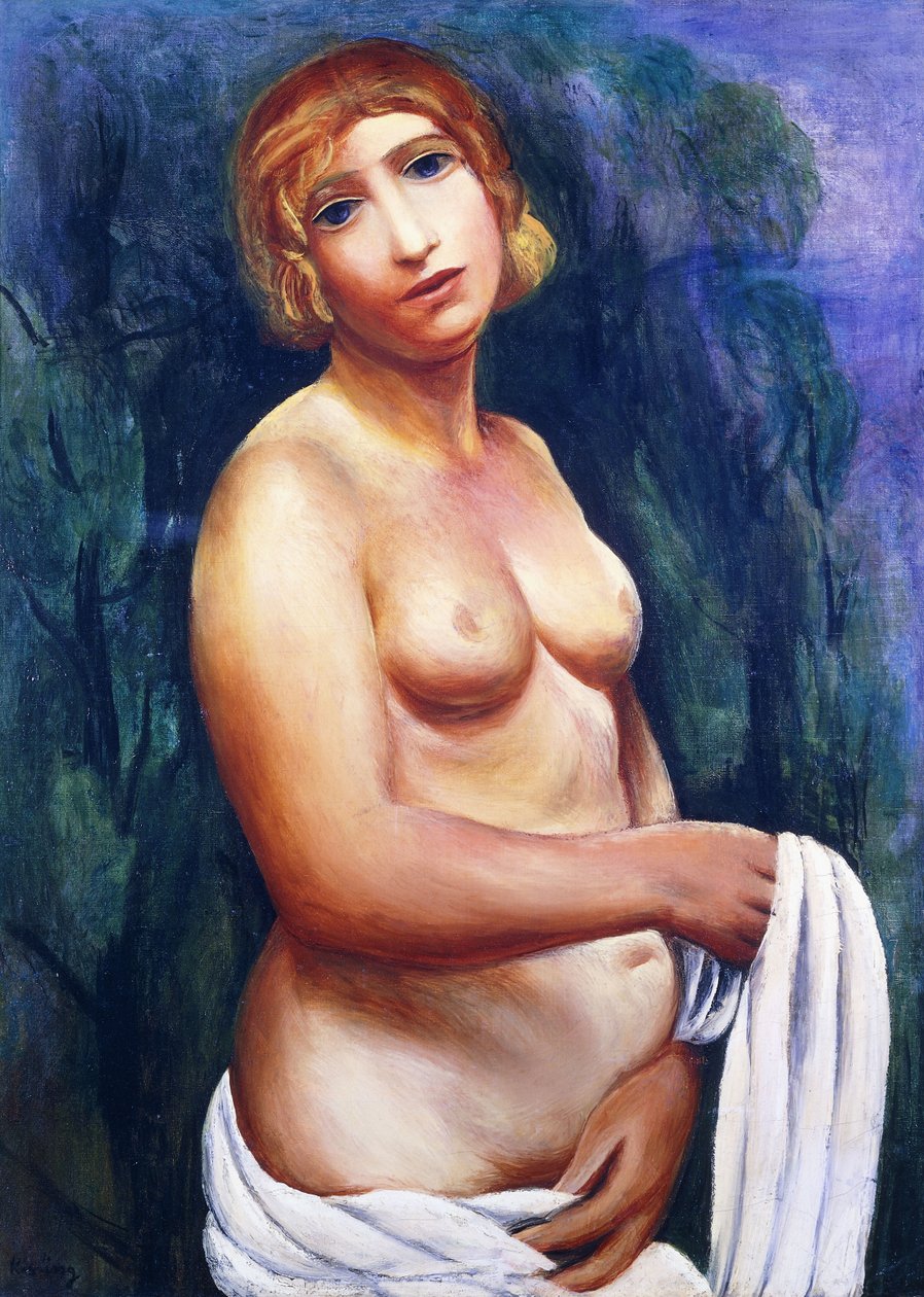Akt s bílým závěsem, 20. století (olej na plátně, rám) od Moise Kisling