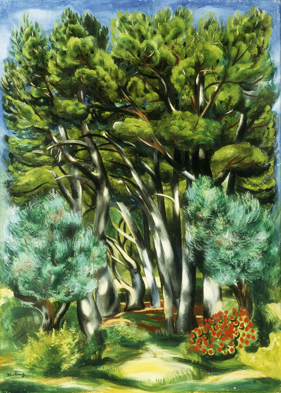 Krajina od Moise Kisling