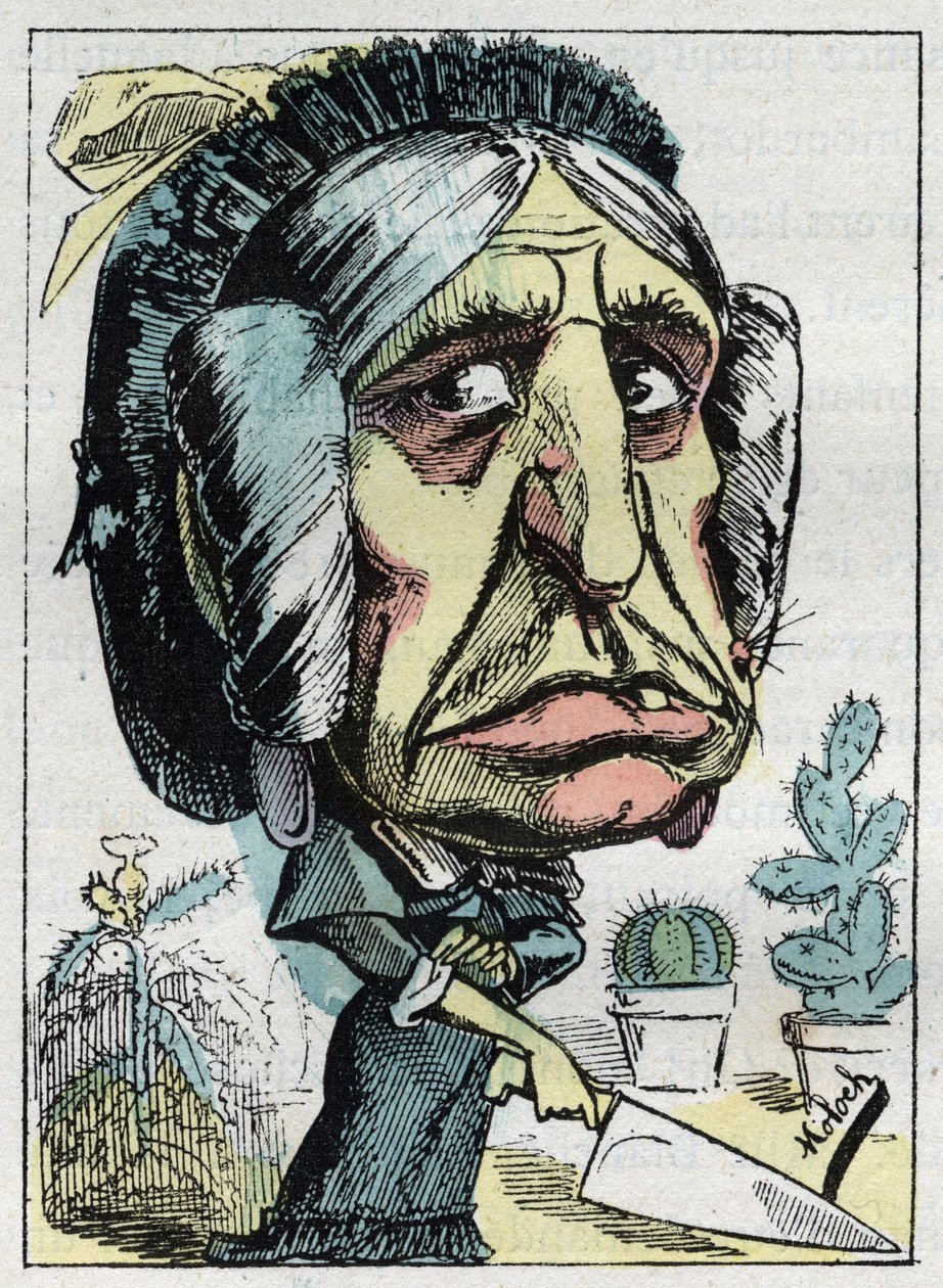 Alegorie "" nevlastní matky "" (Belle mere) v "" Le Trombinoscope"" od Touchatout, karikatura B. Molocha z roku 1882 (1849-1909). Soukromá sbírka. od Moloch