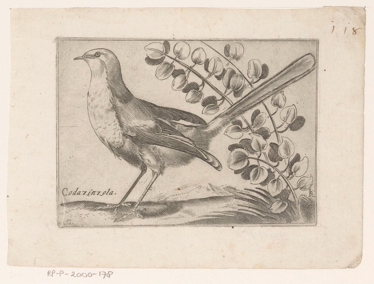 Vogel Codazinzola (název na objektu) Vogels (název série) od Monogrammist AG