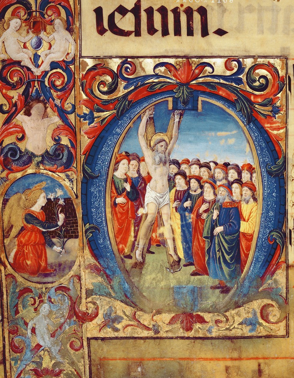 Ms 543 f.5v Historická iniciála O s Ukřižováním sv. Ondřeje, z žaltáře, kolem roku 1515 od Monte di Giovanni del Fora
