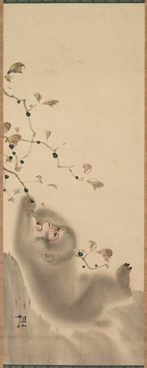 Opice visící na větvi, 1780. od Mori Sosen