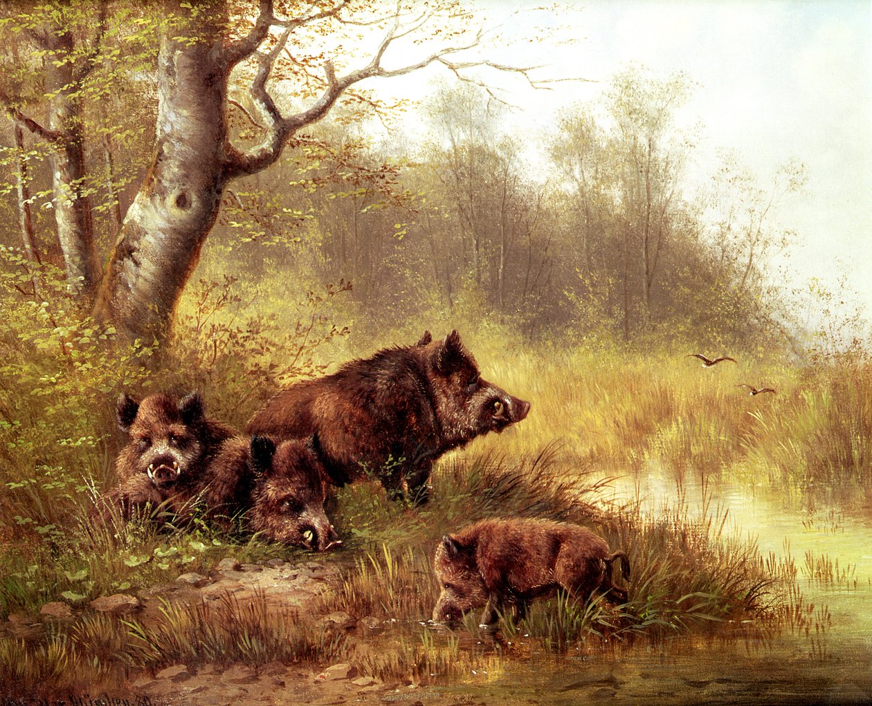 Divoké prase ve Schwarzwaldu, 1880 od Moritz Muller