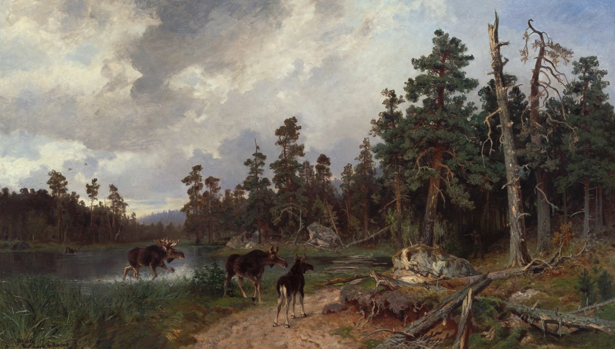 Los a lovci v borovém lese od Morten Muller