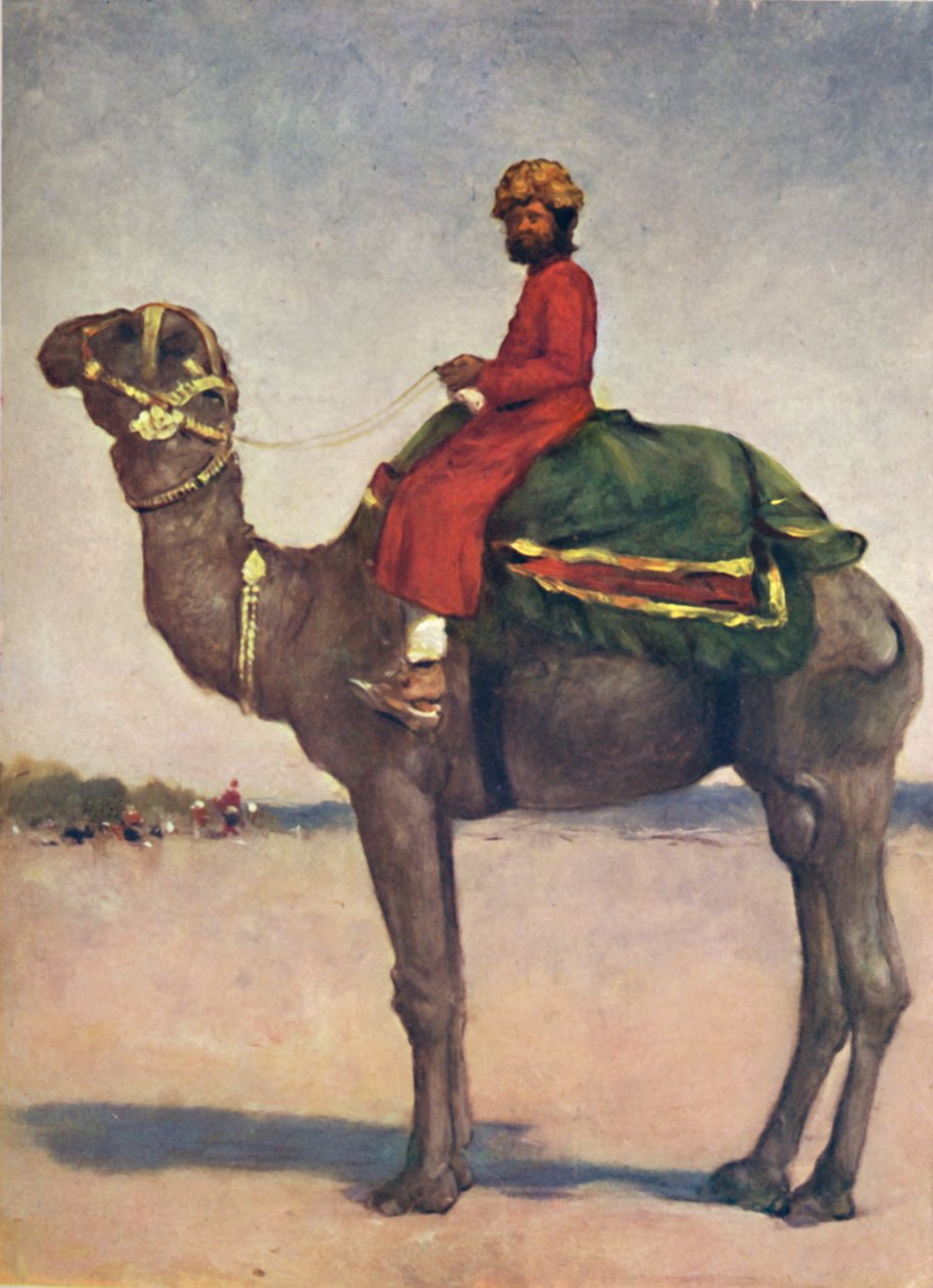 „Jezdec na velbloudu z Kota“, 1903 od Mortimer L Menpes