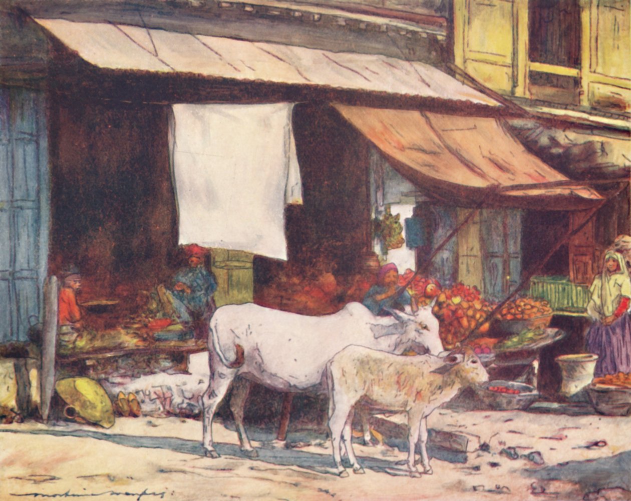 Roh ovocného trhu, Dillí, 1905 od Mortimer Ludington Menpes
