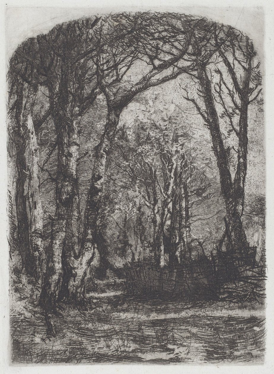Woods [Bosco] od Mose Bianchi