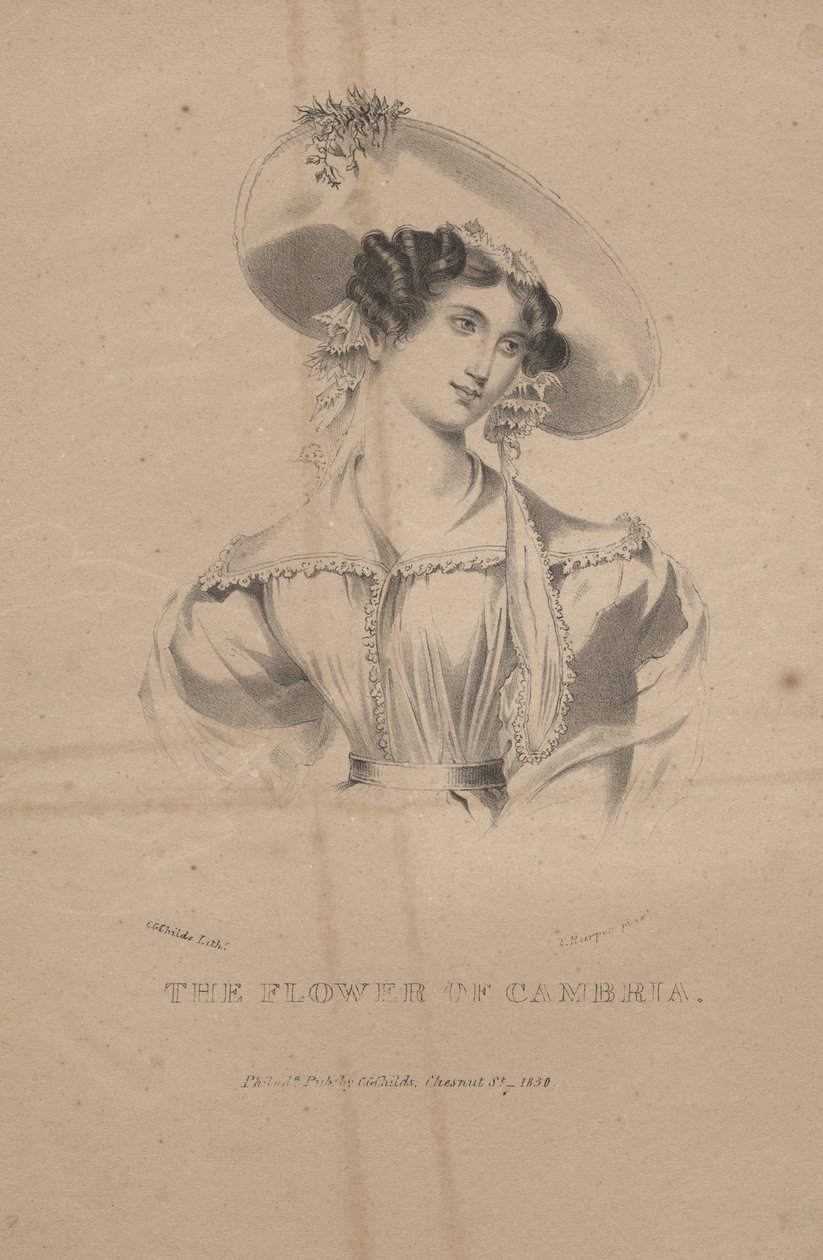 Květ Cambrie, litho od C.G. Děti, 1830 od Moses Swett