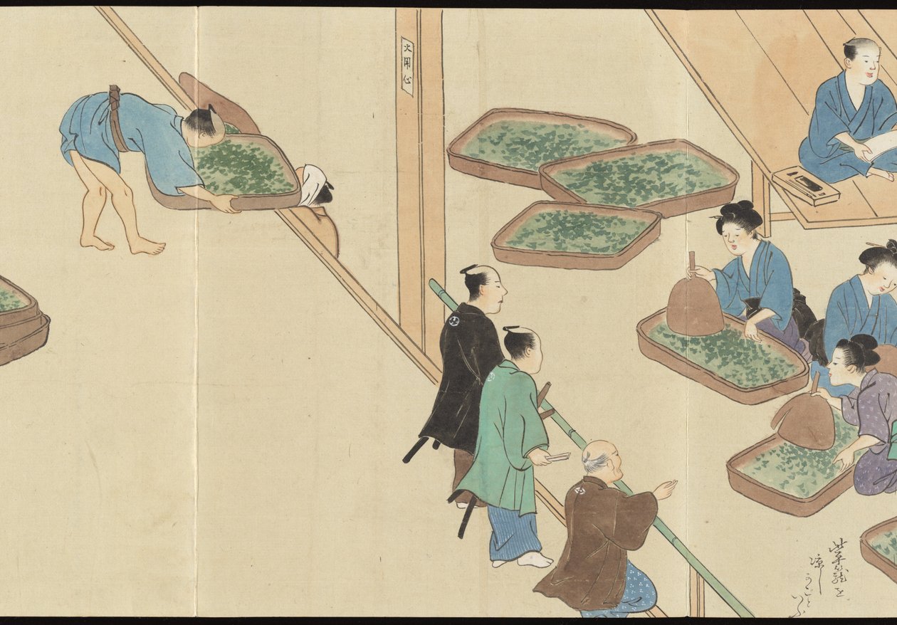 Ilustrace výroby čaje Uji od Motonari Sait?