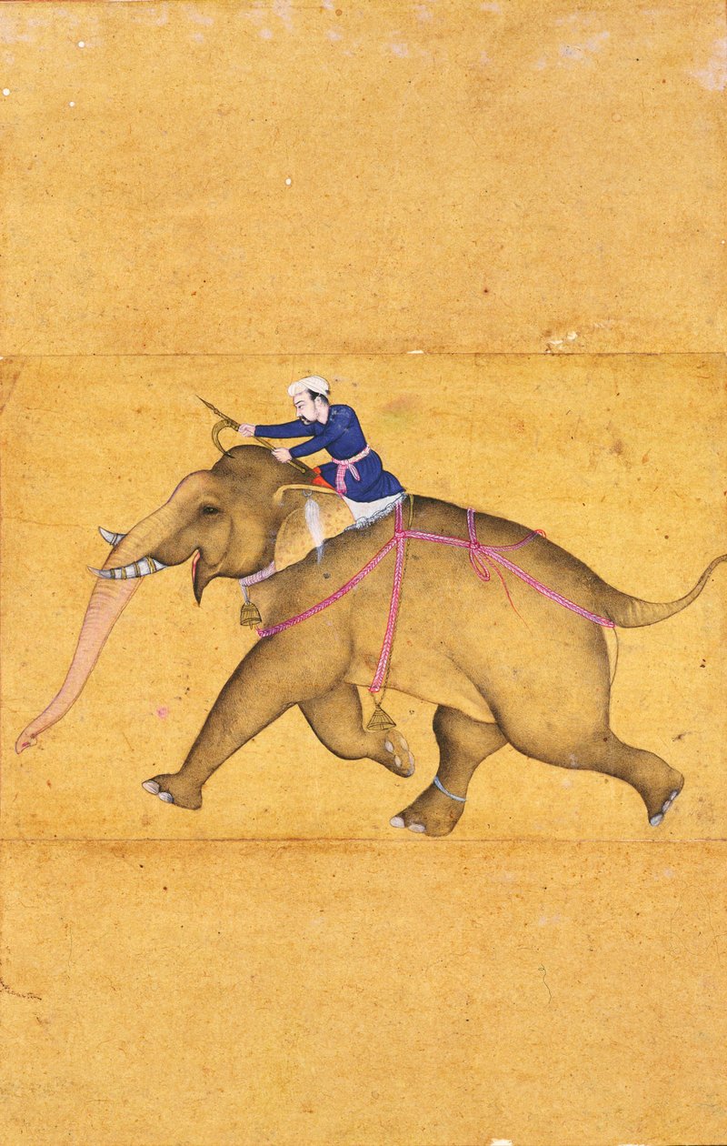 Mahout jedoucí na slonovi, z Velkého alba Clive (perokresba s barevným lavírováním na papíře) od Mughal School