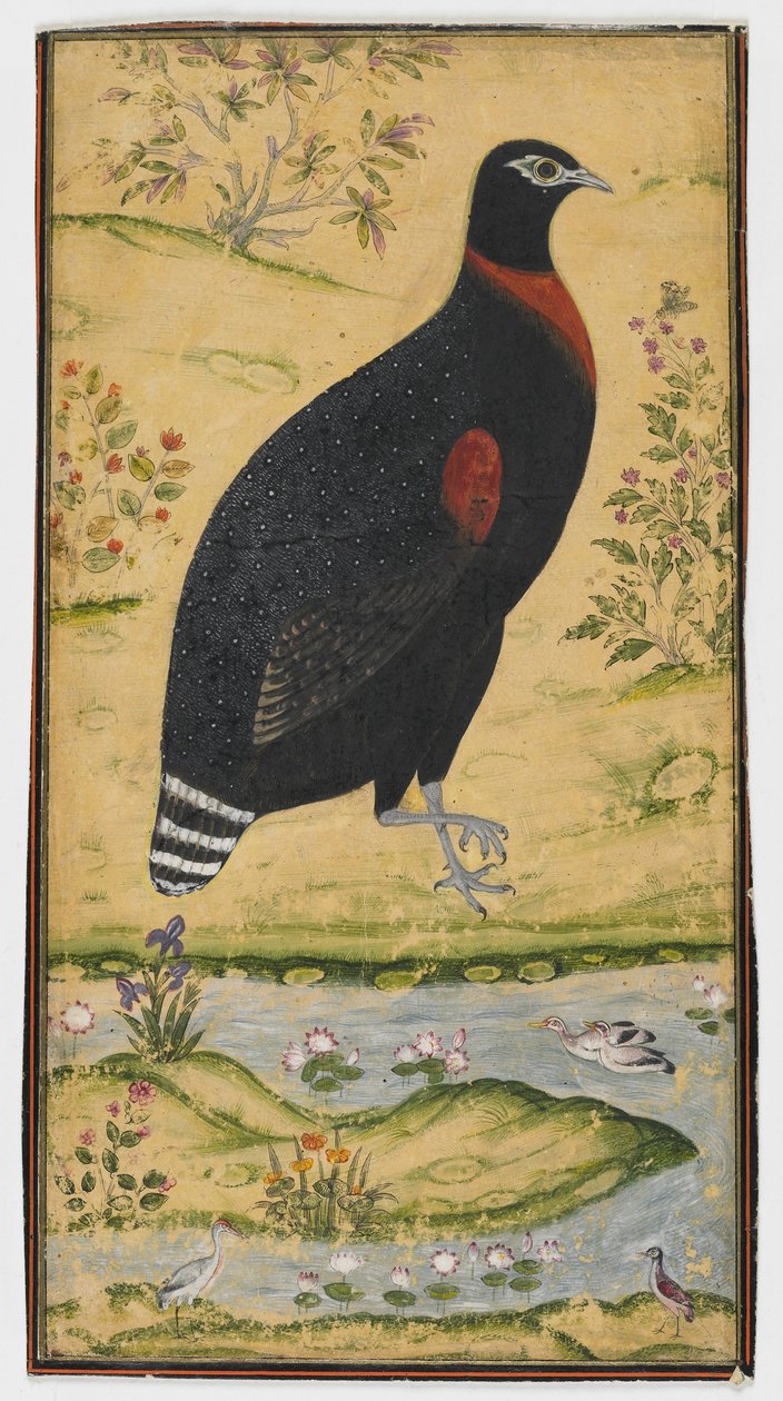 Spurfowl v krajině, Malba, konec 17. století od Mughal School