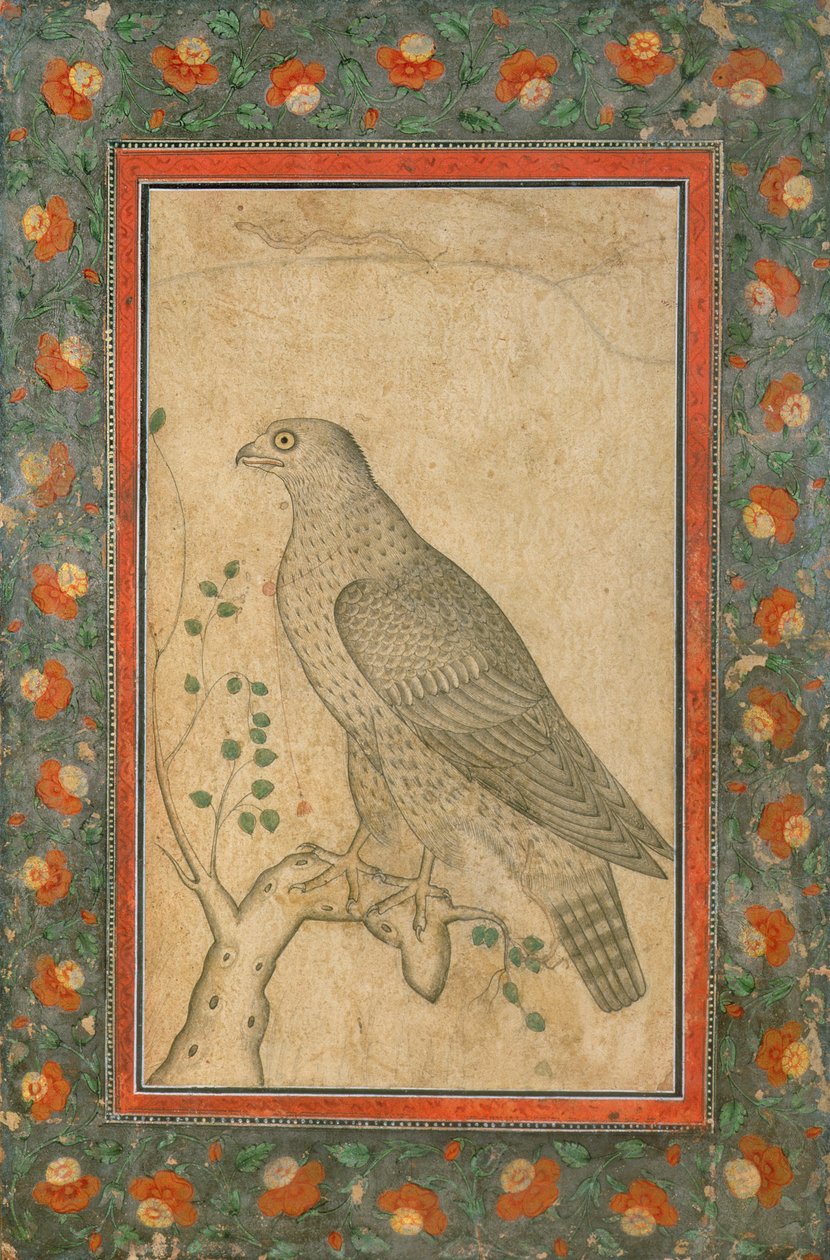 Sokol seděl na listnatém pařezu, kolem roku 1650 od Mughal School