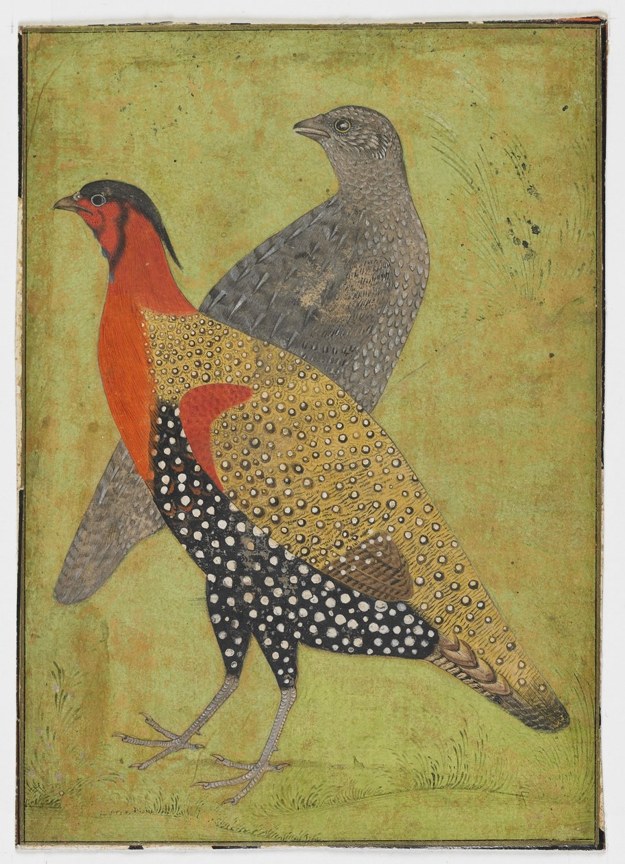 Dva bažanti, Malba, počátek 17. století od Mughal School