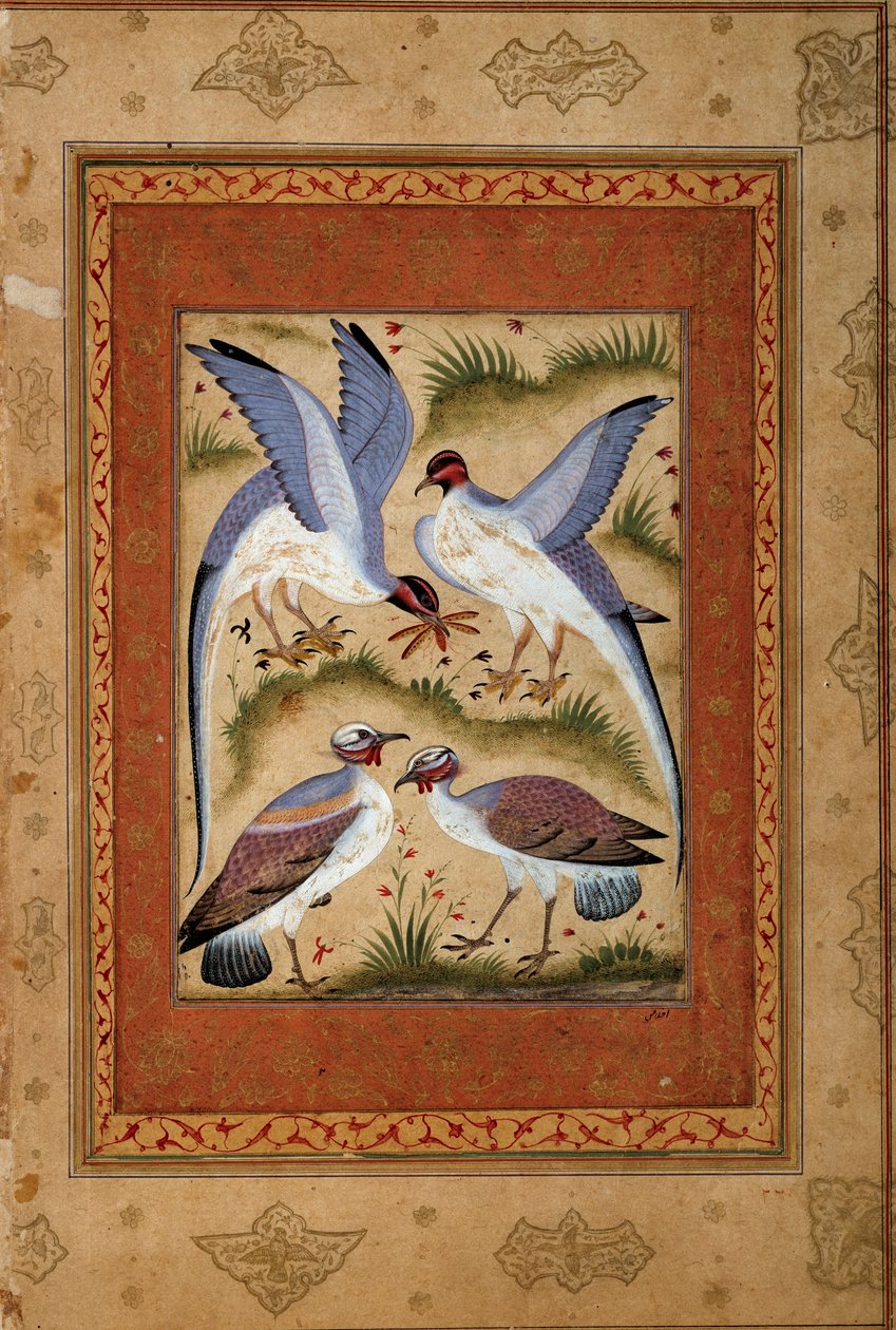 Ptactvo. Miniaturní kvaš z mogholské školy. 1590-1600. Paříž, Guimetovo muzeum, Národní muzeum asijského umění od Mughal School