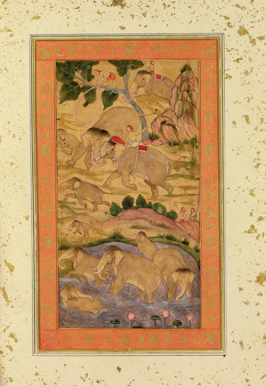 Hunters Capturing Elephants, z Velkého alba Clive, cca 1760-65 (tónovaná kresba na papíře) od Mughal School