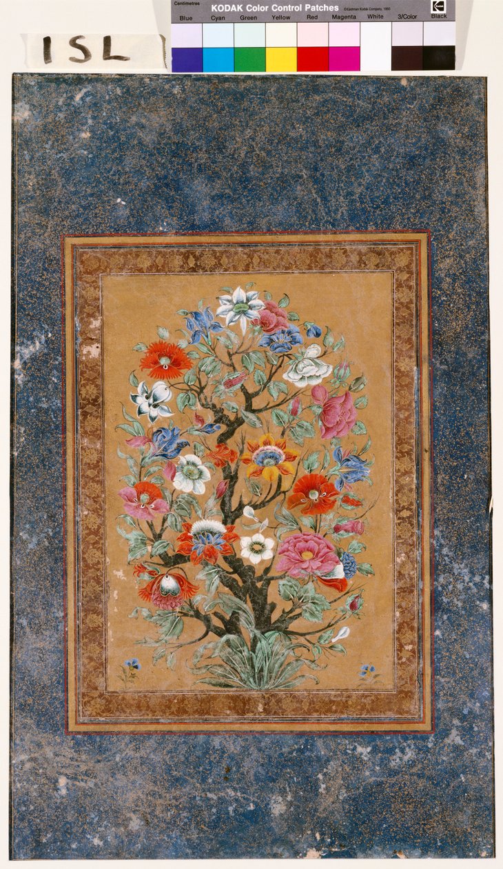 Mýtická rostlina od Mughal School