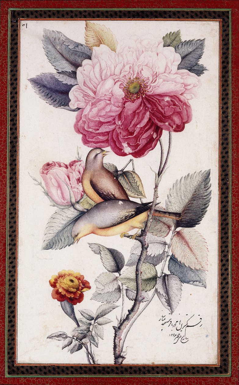 Gul-o Bulbul, c. 1849-50 (akvarel na papíře) od Muhammad Baqir