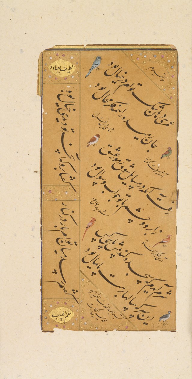 Stránka kaligrafie, konec 16. století. od Muhammad Husayn al Katib